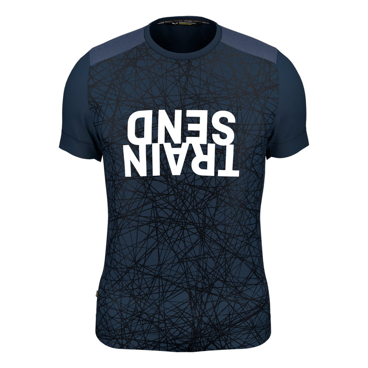 Salewa Alpine Hemp Print Erkek T-Shirts Mavi/Lacivert Türkiye 807126GBA